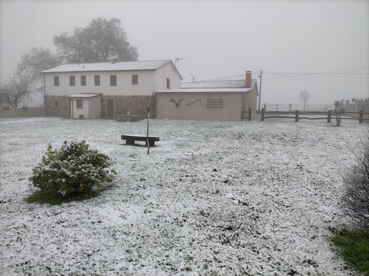 O Labrego De Boimorto Appartement Buitenkant foto